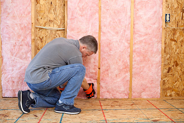 Best Specialty Insulation in Hokendauqua, PA